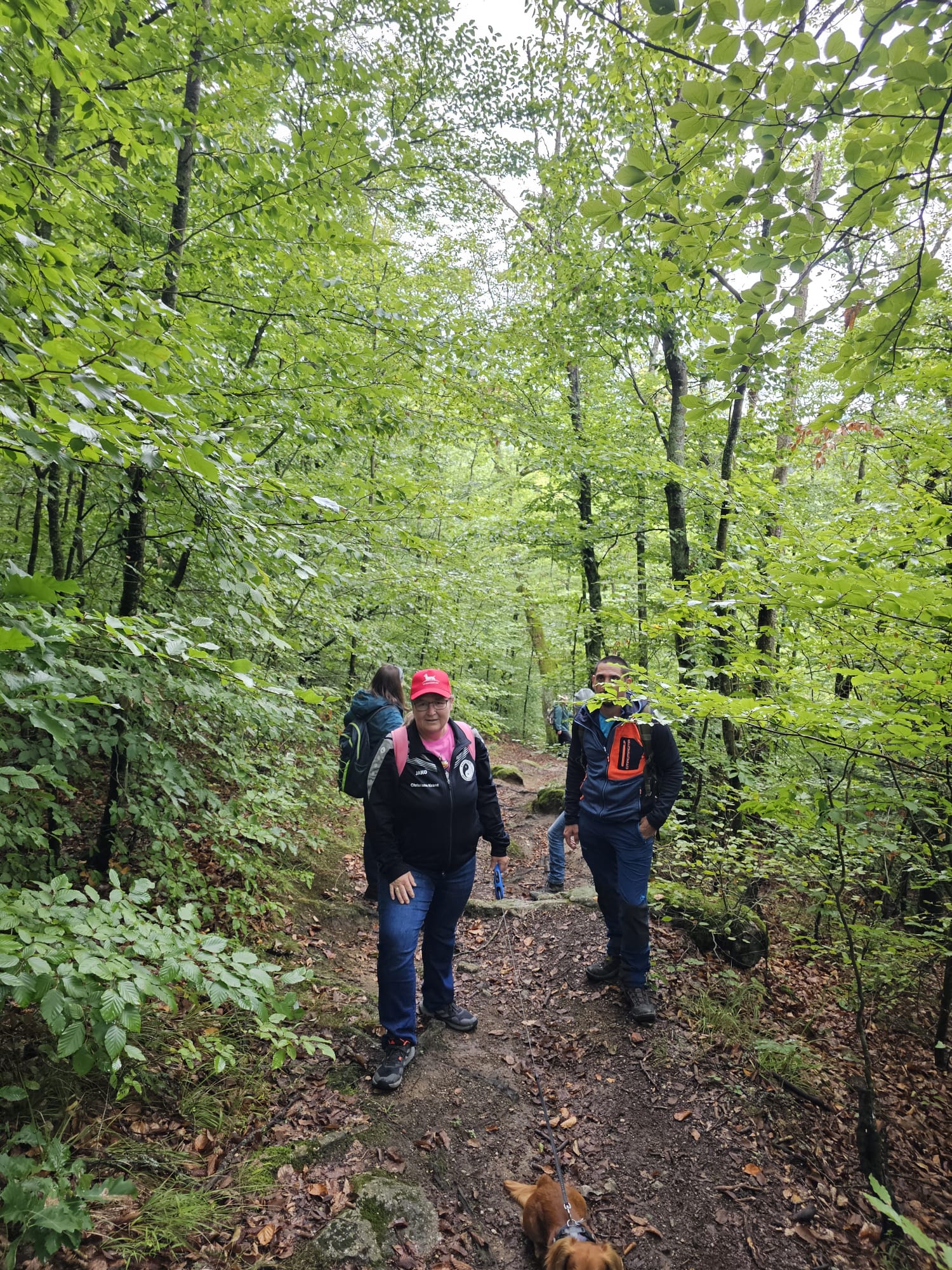 Vergrößerbares Bild